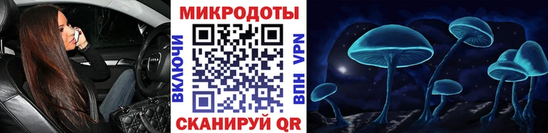 Галлюциногенные грибы Psilocybine cubensis Красный Кут
